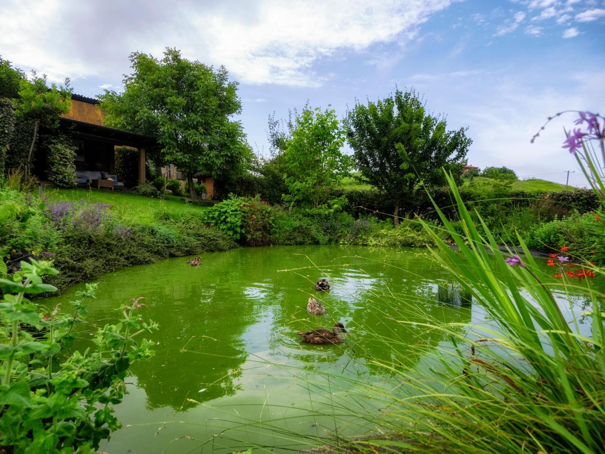La Casa De Las Palas Tok-Pok Mogro Buitenkant foto